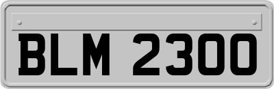 BLM2300