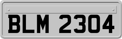 BLM2304