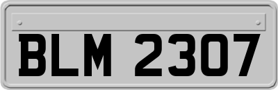 BLM2307