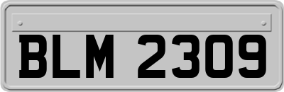 BLM2309