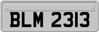 BLM2313