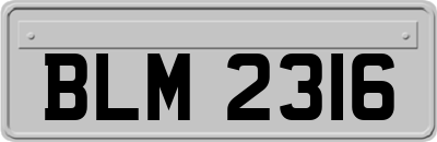 BLM2316