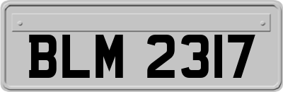 BLM2317
