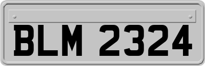 BLM2324