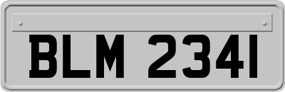 BLM2341