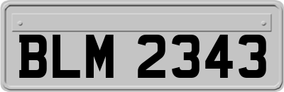BLM2343