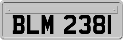BLM2381