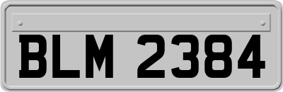 BLM2384