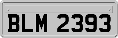 BLM2393