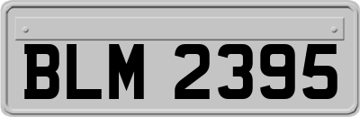 BLM2395