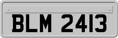 BLM2413