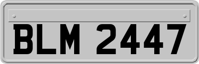 BLM2447