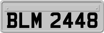 BLM2448