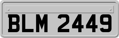 BLM2449