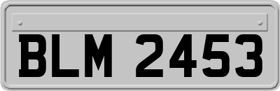 BLM2453