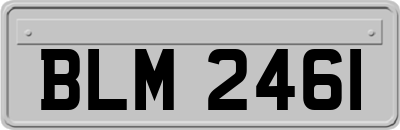 BLM2461