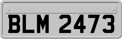 BLM2473