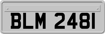 BLM2481
