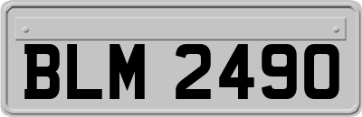 BLM2490