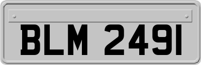 BLM2491