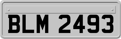 BLM2493