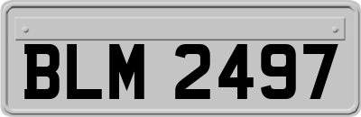 BLM2497