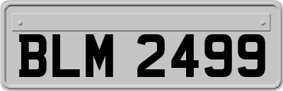 BLM2499