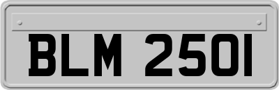 BLM2501