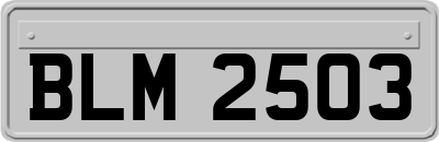 BLM2503