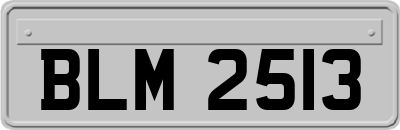 BLM2513