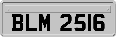 BLM2516