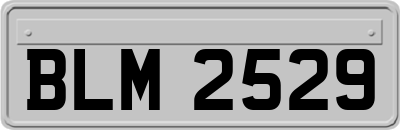 BLM2529