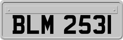 BLM2531