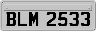 BLM2533