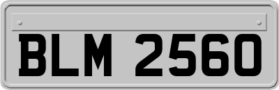 BLM2560