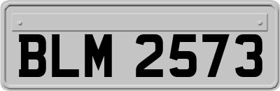 BLM2573