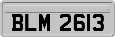 BLM2613