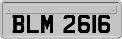 BLM2616
