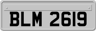 BLM2619