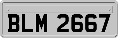 BLM2667