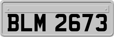 BLM2673