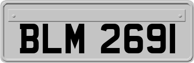 BLM2691