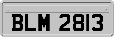 BLM2813