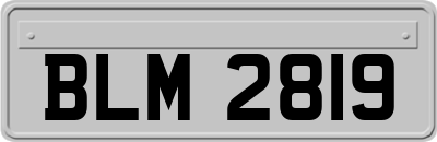 BLM2819