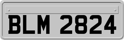 BLM2824