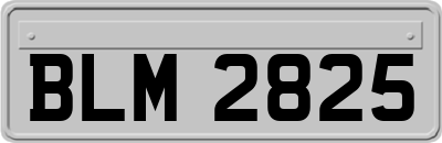 BLM2825