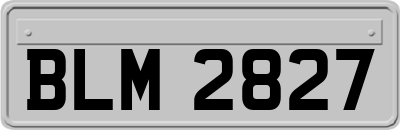 BLM2827