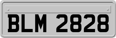 BLM2828