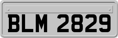 BLM2829