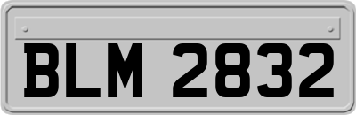 BLM2832